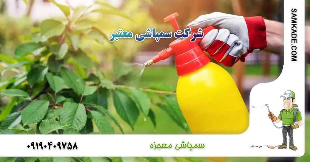 سمپاشی اصولی در تهران | شرکت سمپاشی معجزه