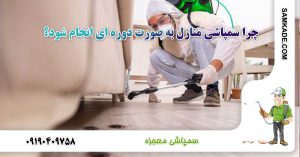 چرا سمپاشی منازل به صورت دوره ای انجام شود؟