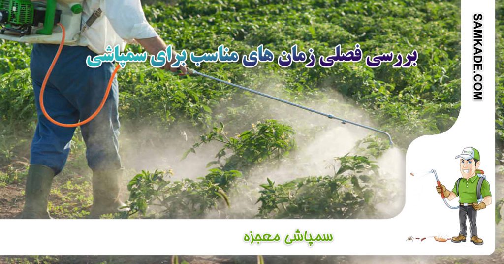 بهترین زمان سمپاشی مزارع در فصل بهار
